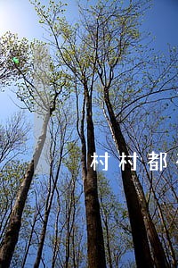 村村都有便民诉讼联络员 村村都有便民诉讼联络员