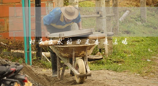 村民在水稻田建房违法吗 村民在水稻田建房违法吗