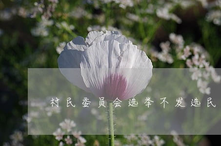 村民委员会选举不发选民证违法吗 村民委员会选举不发选民证违法吗