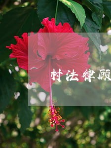 村法律顾问台账怎么填 村法律顾问台账怎么填