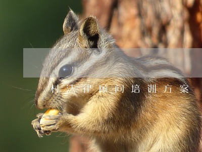 村法律顾问培训方案