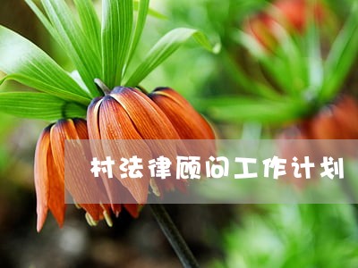 村法律顾问工作计划 村法律顾问工作计划