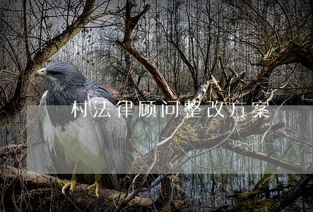 村法律顾问整改方案 村法律顾问整改方案