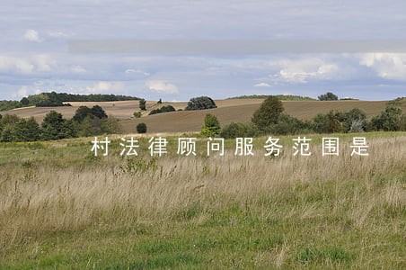 村法律顾问服务范围是 村法律顾问服务范围是