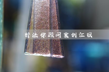 村法律顾问案例汇报 村法律顾问案例汇报