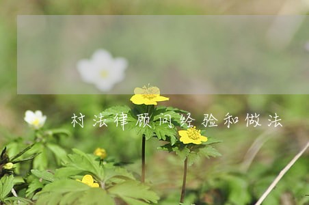 村法律顾问经验和做法 村法律顾问经验和做法