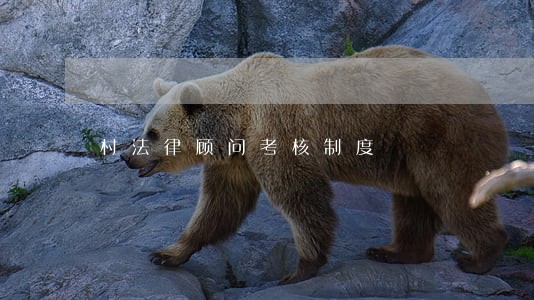 村法律顾问考核制度