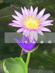 村法律顾问要收费吗 村法律顾问要收费吗