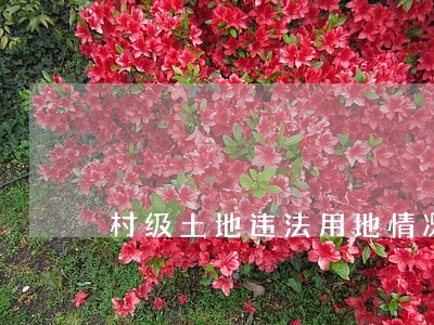 村级土地违法用地情况说明 村级土地违法用地情况说明