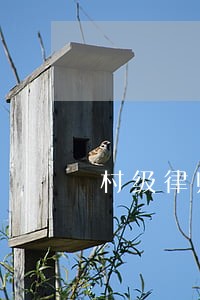 村级律师援助工作室