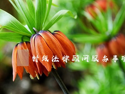 村级法律顾问服务事项 村级法律顾问服务事项