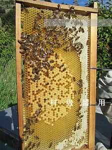 村级留用地逾期施工违约金