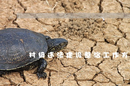 村级违法建设整治工作方案 村级违法建设整治工作方案