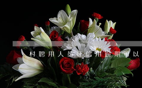 村聘用人员证信用逾期可以吗 村聘用人员证信用逾期可以吗
