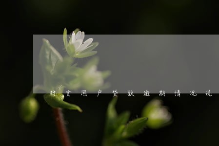 村贫困户贷款逾期情况说明 村贫困户贷款逾期情况说明