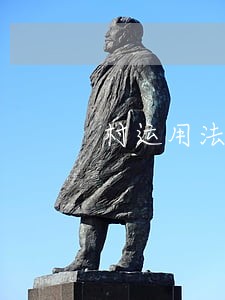 村运用法律顾问