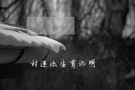 村违法生育证明