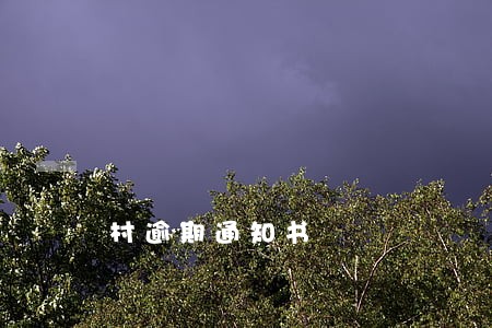 村逾期通知书 村逾期通知书
