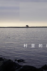 村里的律师 村里的律师