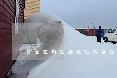 村里逾期无法偿还债务有哪些 村里逾期无法偿还债务有哪些