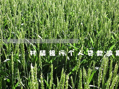 村镇银行个人贷款逾期 村镇银行个人贷款逾期
