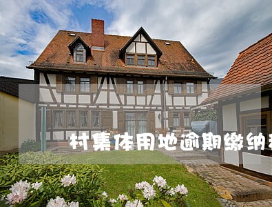 村集体用地逾期缴纳租金 村集体用地逾期缴纳租金