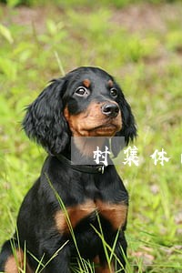 村集体的什么资金法院不能执行 村集体的什么资金法院不能执行