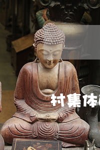 村集体的土地被违法占用 村集体的土地被违法占用