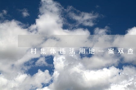村集体违法用地一案双查 村集体违法用地一案双查
