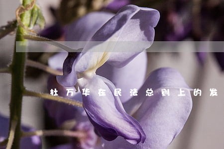杜万华在民法总则上的发言 杜万华在民法总则上的发言