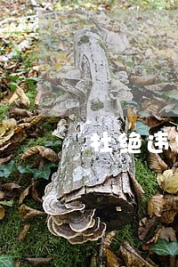 杜绝违纪违法情况的措施 杜绝违纪违法情况的措施