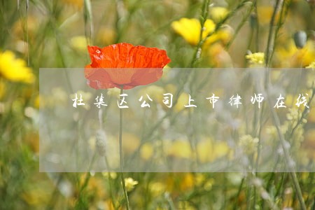 杜集区公司上市律师在线免费咨询 杜集区公司上市律师在线免费咨询