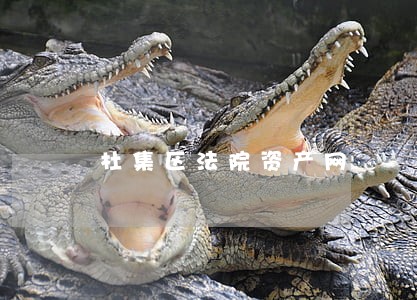 杜集区法院资产网 杜集区法院资产网