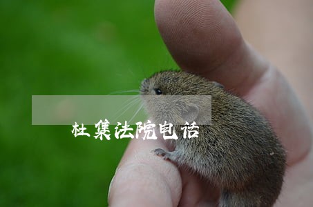杜集法院电话 杜集法院电话