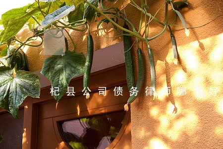 杞县公司债务律师哪个好 杞县公司债务律师哪个好