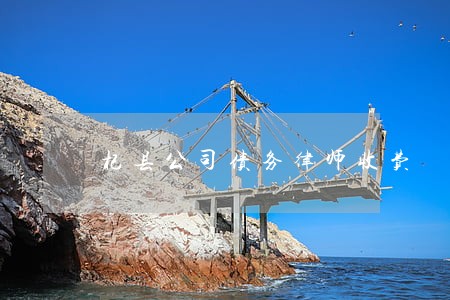 杞县公司债务律师收费 杞县公司债务律师收费