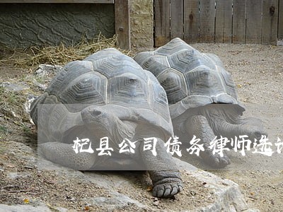 杞县公司债务律师选谁 杞县公司债务律师选谁