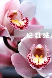 杞县法院执行局最新新闻 杞县法院执行局最新新闻