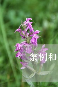条例和地方性法规 条例和地方性法规