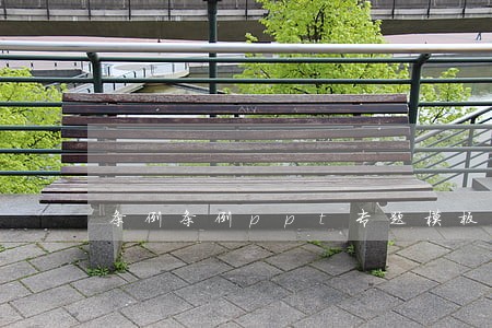 条例条例ppt专题模板