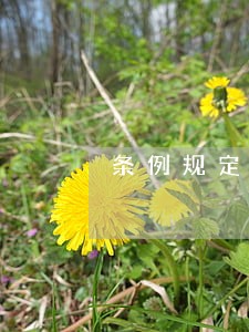 条例规定有法院判刑的公职人员
