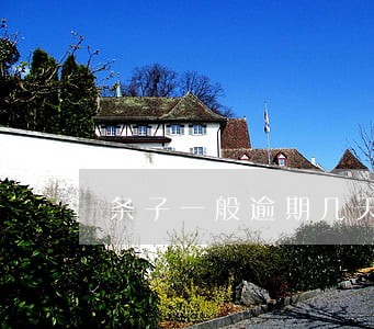 条子一般逾期几天没事 条子一般逾期几天没事