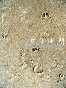条子逾期下款 条子逾期下款