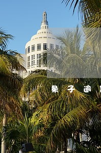 条子逾期催收厉害吗