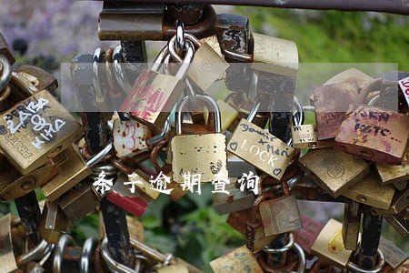 条子逾期查询 条子逾期查询