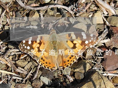条子逾期还有放款的吗 条子逾期还有放款的吗