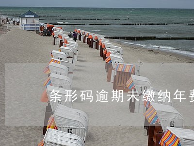 条形码逾期未缴纳年费怎么办 条形码逾期未缴纳年费怎么办