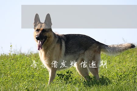 条条借发短信逾期 条条借发短信逾期