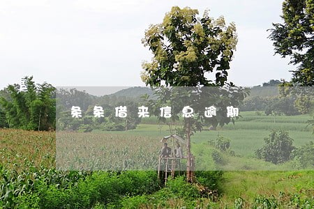 条条借来信息逾期 条条借来信息逾期
