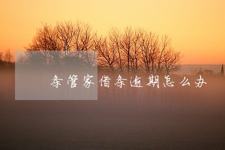 条管家借条逾期怎么办 条管家借条逾期怎么办